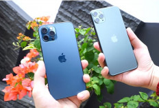 Kenali Perbedaan iPhone 11 dan iPhone 12 : Yuk Cek Spesifikasi dan Performa !