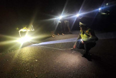 Dua Pemuda Tewas Dalam Tabrakan Maut Motor dan Pikap di Rantau Panjang Ogan Ilir
