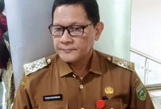 Dinkes Sumsel Siapkan Wisata Medis Akhir Januari