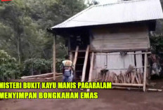 Misteri Bukit Kayu Manis Pagaralam : Peneliti  Ungkap Potensi Tambang Emas Baru di Sumatera Selatan !