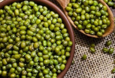 Tak Sekadar Camilan, Kacang-Kacangan Punya Banyak Manfaat Kesehatan