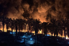 Api di Sumur Minyak Ilegal Hindoli Kembali Mengamuk, Kendaraan Ludes Terbakar