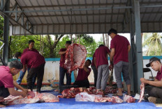 PLN UIP Sumbagsel Salurkan Daging Kurban kepada Masyarakat