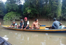 Banyak Ikan Mati : Sungai Rambang Diduga Tercemar Limbah PKS !