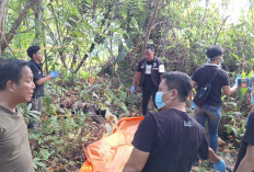 Petani di OKI Temukan Mayat Perempuan Dalam Karung, Wajah Korban Ditutupi Baju Hitam