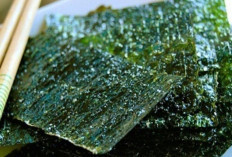 Nori Rumput Laut: Superfood Jepang yang Kini Makin Populer di Indonesia