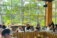 DPR Soroti Fenomena Turis Singapura-Malaysia Belanja Sembako di Batam