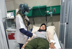 Tertinggi di Kecamatan Sukarami, Ratusan Kasus DBD Ditemukan di Palembang