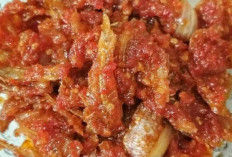 Lezat dan Menggoda Sambal Ikan Asin Bulu Ayam Cita Rasa Tradisional yang Melekat di Lidah