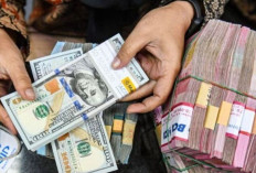 Nilai Tukar Rupiah 10 Februari 2025 :  Melemah 49 Poin Menjadi Rp16.332 per Dolar AS !