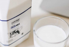 Apa Itu Susu Murni? Mengenal Minuman Bergizi dari Alam