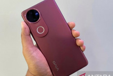 vivo V50 Siap Meluncur : Desain Rounded-Edge dan Warna Harmony Red !