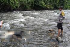  Mayat Karmidin Ditemukan di Sungai Ogan, Diduga Sudah Tewas 4 Hari