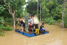 165 Haktere Lahan Pertanian di OKU Terendam Banjir