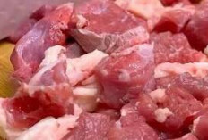 Dukung Fungsi Otak dan Jaga Kesehatan Sistem Saraf dengan Daging Kambing