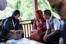 Berikan Jawaban Data yang Benar