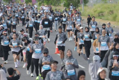 Pantau Detak Jantung Demi Marathon Aman  