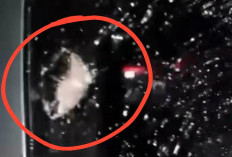 Begini Tanggapan PT.HK Terkait Aksi Pelemparan Batu di Tol Prabumulih–Indralaya