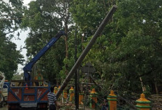 Puting Beliung Robohkan 4 Tiang Listrik : Aliran Listrik 400 Pelanggan di Muaraenim Masih Padam !