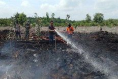 Karhutla Sumsel 2025: 1.416,9 Hektare Lahan Terbakar, Ogan Ilir Terluas