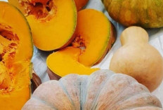 Aneka Olahan Labu: Dari Hidangan Tradisional hingga Modern