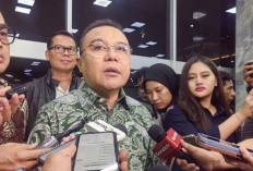Upaya Memecah Belah Bangsa, Pengibaran Bendera Bajak Laut 'One Piece' Jelang HUT RI