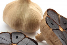 Cegah Infeksi dan Dukung Kesehatan Otak dengan Bawang Hitam