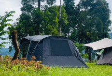 Hanya Merogoh Kocek Rp50 - 100 Ribu, Tiga Camping Ground di Bogor Ini Sudah Bisa Dinikmati!