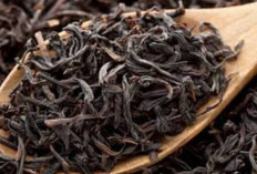 Tingkatkan Fungsi Otak dan Jaga Kesehatan Gigi dengan Teh Hitam