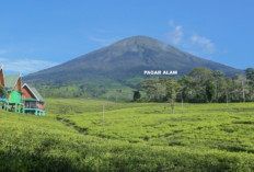 Masyarakat Pagaralam Diimbau Waspada : Gunung Dempo Berstatus Waspada Level II Usai Erupsi !