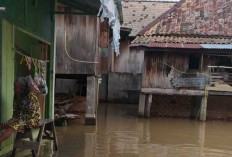Ratusan Rumah di Prabumulih Terendam Banjir, DPRD Imbau Warga Waspada dan Pemerintah Bertindak Cepat