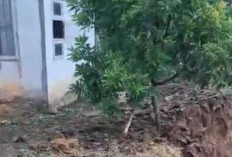 Hujan Deras Picu Longsor : Warga Minta Talud Segera Dibangun di Sungai Kelekar !