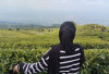 Ratusan Pendaki Padati Puncak Gunung Dempo Saat Perayaan HUT RI ke-80