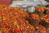 Update Harga Pangan 19 Juni 2026: Cabai Rawit Merah Tembus Rp100 Ribu, Telur Ayam Rp29.700 per Kilogram