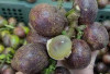 Dukung Kesehatan Jaringan Tubuh dengan Buah Matoa