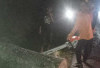 BPBD Evakuasi Pohon Tumbang di Jalinsum Baturaja-Prabumulih