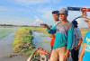 Sawah di Ogan Ilir Terendam Banjir Petani Pasrah dan Harapkan Bantuan Pemerintah