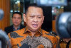 Prabowo Kembalikan Kejayaan Swasembada Beras Nasional