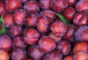 Atasi Jerawat dan Hilangkan Bekasnya dengan Buah Plum