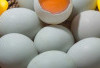 Telur Bebek, Sumber Protein Tinggi dengan Ragam Manfaat dan Olahan
