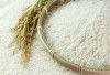 Ketan, Sajian Tradisional Penuh Makna dan Rasa yang Tetap Dicintai