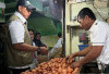 Update Harga Pangan 26 April 2026: Harga Telur Ayam Tembus Rp31.950, Bawang Merah Rp46.100 per Kilogram 