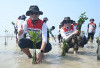Dukung Energi Berkelanjutan, Pertamina Drilling Tanam 800 Mangrove di Hari Lingkungan Hidup 2026