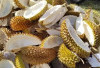 Atasi Sembelit dan  Nyeri Haid dengan Kulit Durian