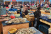 Pemprov Sumsel Gencarkan Kampanye Gemar Makan Ikan untuk Tingkatkan Gizi dan Jaga Konsumsi Masyarakat