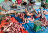 Masjid Al-Barokah Sembelih 10 Hewan Kurban, 350 Kupon Daging Dibagikan ke Warga