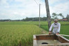 Targetkan 48 Ribu Hektare Sawah Baru 2025 : Berikut 3 Kabupaten Lumbung Beras di Sumatera Selatan !