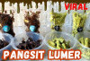 Pangsit Lumer: Camilan Viral yang Bikin Ketagihan dan Jadi Favorit Baru Pecinta Kuliner