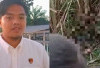 Tragis! Wanita Hamil Ditemukan Tewas di Kebun Tebu Ogan Ilir: Polisi Duga Korban Dibunuh dengan Kejam 