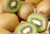 Mengenal Berbagai Macam Jenis Buah Kiwi yang Menyegarkan